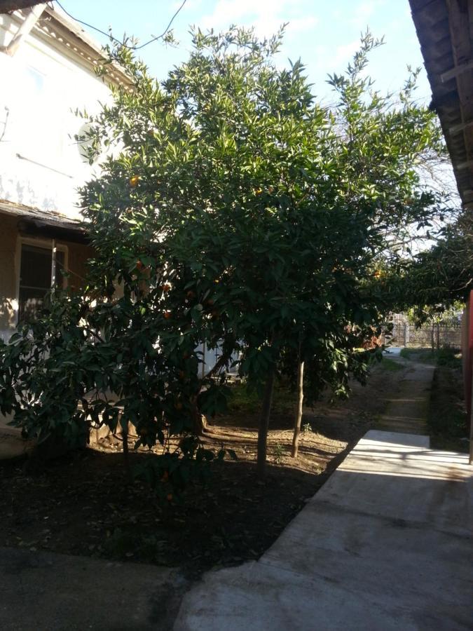 Guest House Yuzhnaya Palmira Pizunda Esterno foto